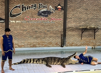 ワニショー