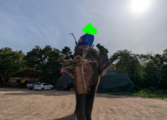 象乗り体験