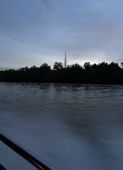 幻想的な景色に向かう道中(船中)