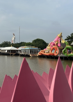 海側からの景色