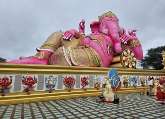 大きくて驚きました、