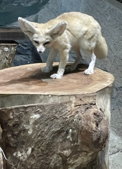 So cute!