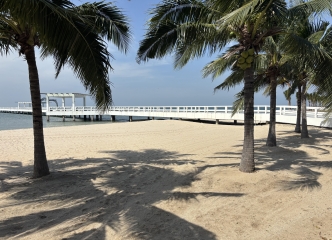 ヒルとジュンジの思い出のビーチ！