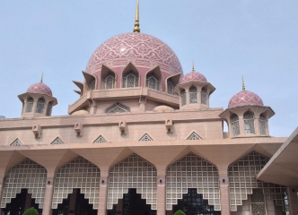 とてもきれいなピンク色でした！