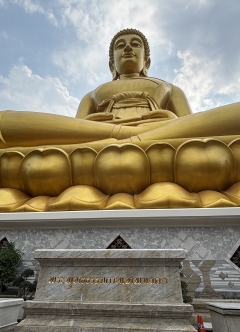 迫力がありました