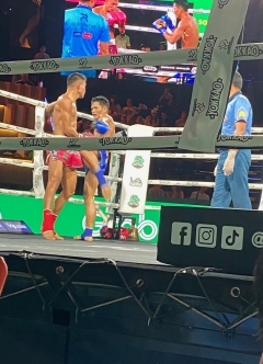 これは膝蹴りです。