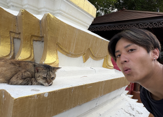 猫とつばさくん