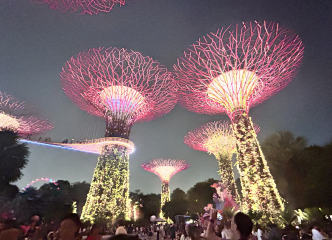 素晴らしい景色でした！植物園にて