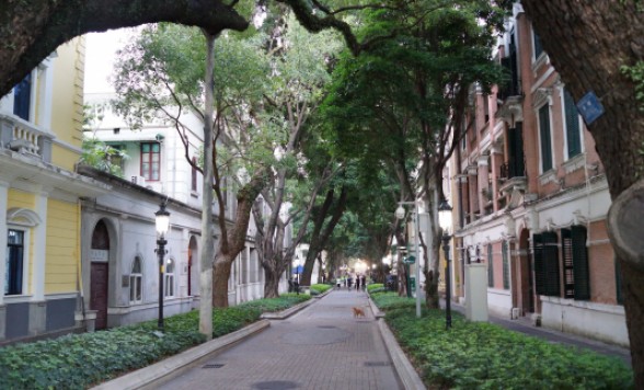 中国三大都市・広州を知る、新旧見どころ充実の広州市内新名所１日ツアー＜終日/高速鉄道/昼食付き/日本語ガイド＞