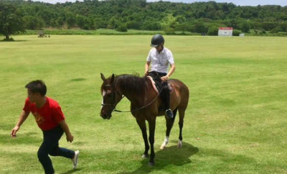 タイ・ポロクラブ見学+ 乗馬体験
