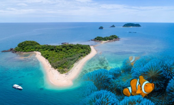 フランクランドアイランド無人島クルーズ