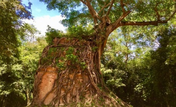 【シェムリアップ】世界遺産 サンボー・プレイクック+アンコール時代の代橋コンポンクディ<日本語ガイド>