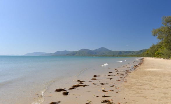 世界遺産モスマン渓谷＋ポートダグラス1日観光ツアー