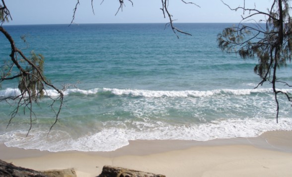 オーストラリア おすすめ海外現地オプショナルツアー予約 Pandabus パンダバス