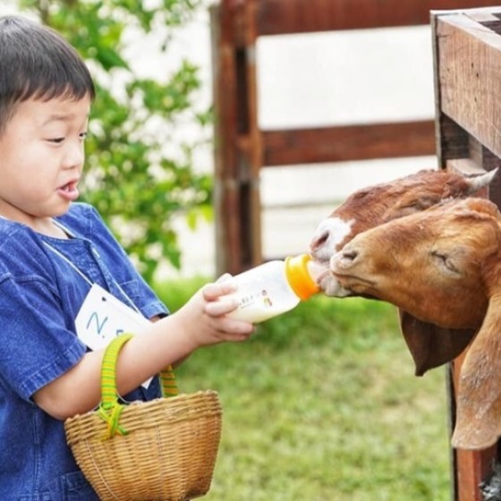 自然学習ファーム