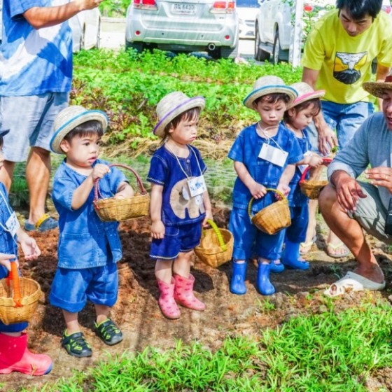 自然学習ファーム