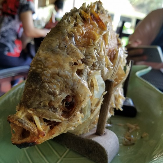 ベトナム 予約 朝はゆったり出発 メコン川クルーズ ココナッツキャンディー工場とハチミツ農園見学 蛍鑑賞ツアー 日本語ガイド 1日 手漕ぎボート体験 エレファントフィッシュの昼食 夕食付き