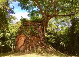 世界遺産①丨サンボ―プレイクック遺跡群