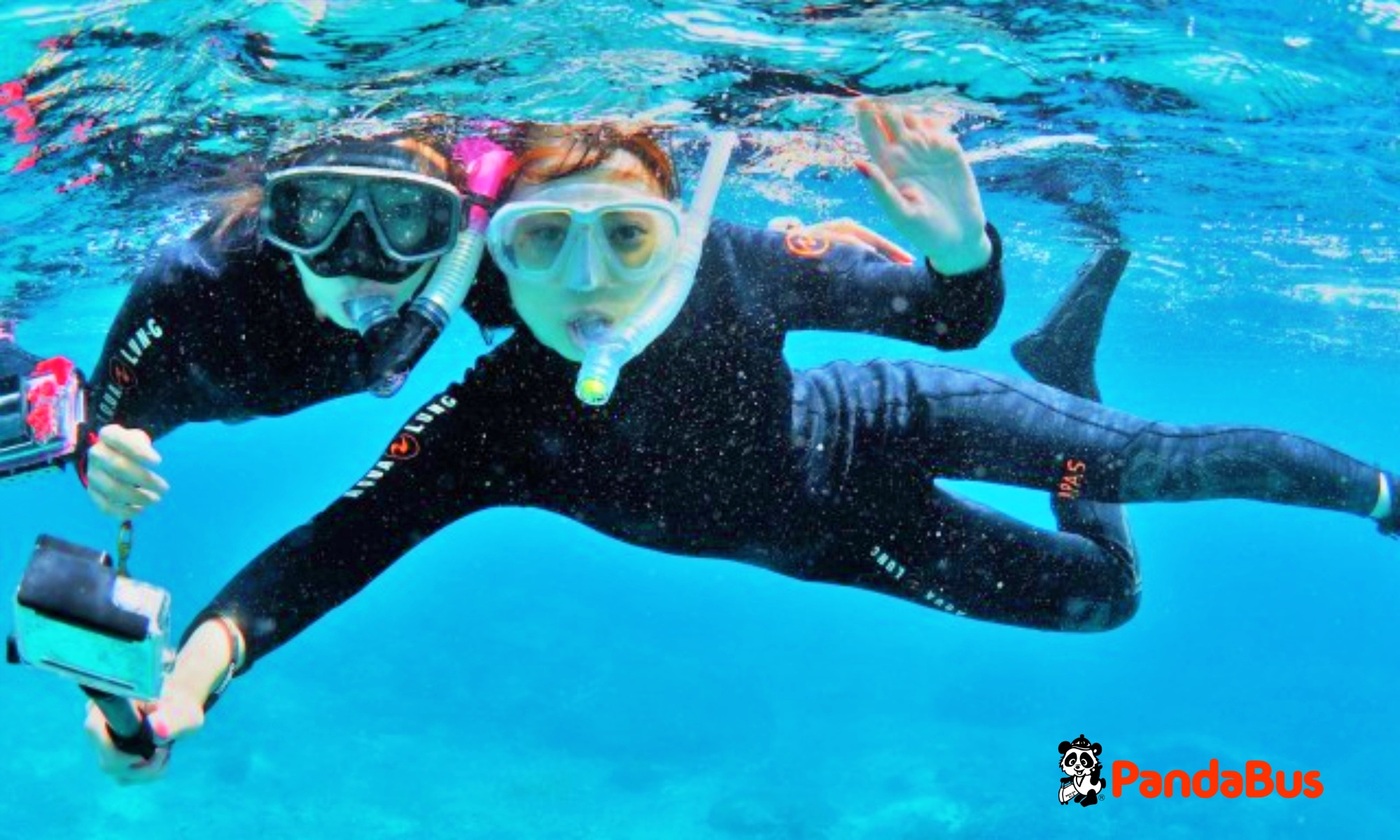 ヌサペニダ島内でシュノーケル満喫