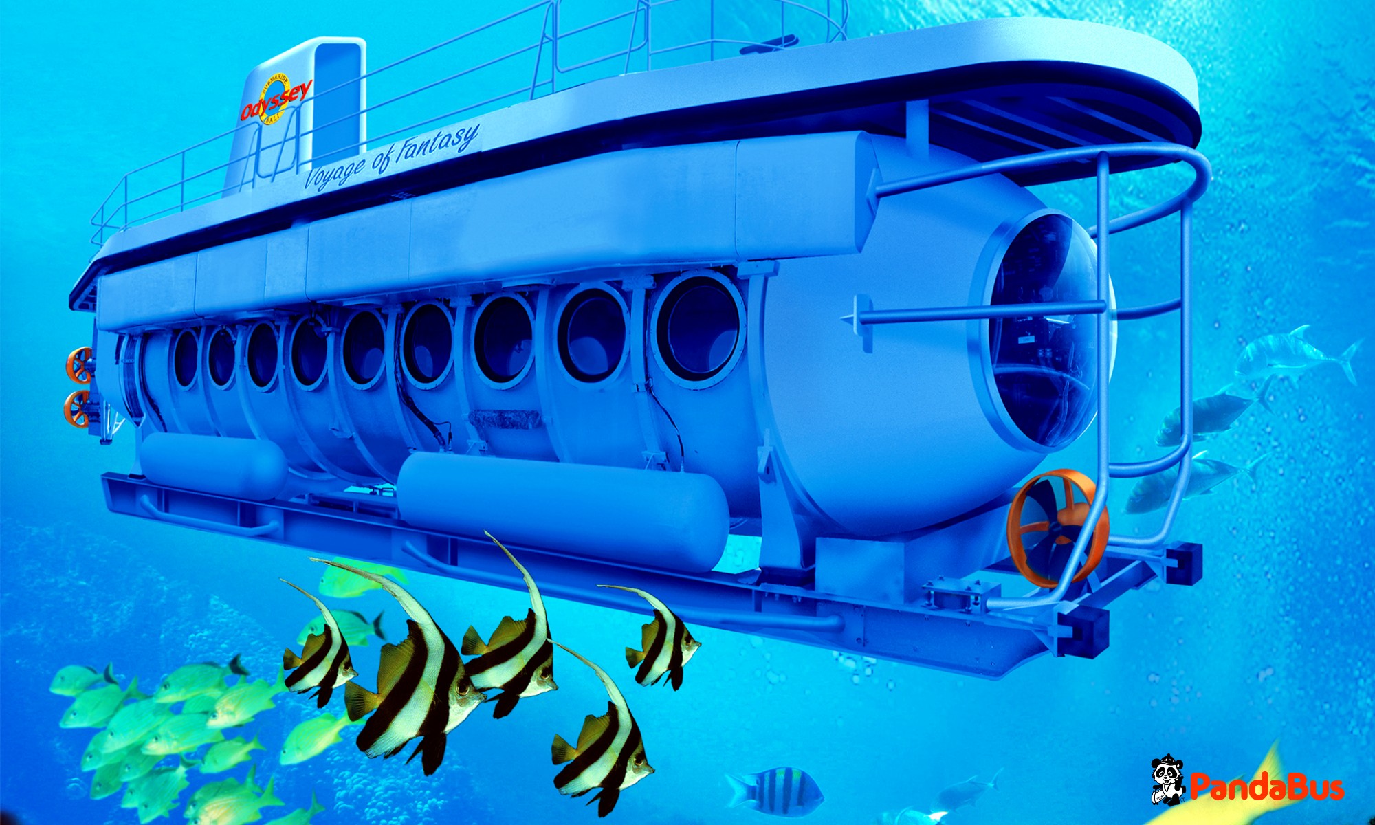 受付、体重測定、イメージビデオ鑑賞