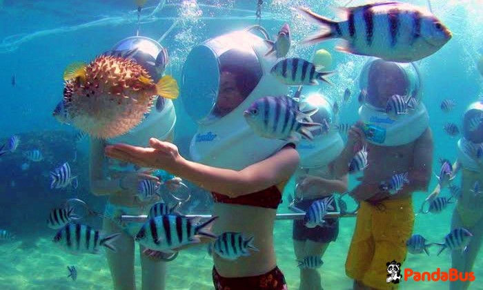 シーウォーカー体験（約30分）特殊なヘルメットを装着して、いざ海底へ!!!