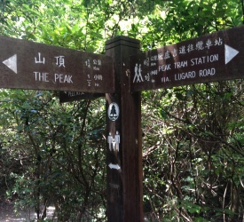 ミッドレベル方向へ