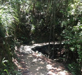 ガバナーズウォーク(同楽経)から一気に山頂公園へ