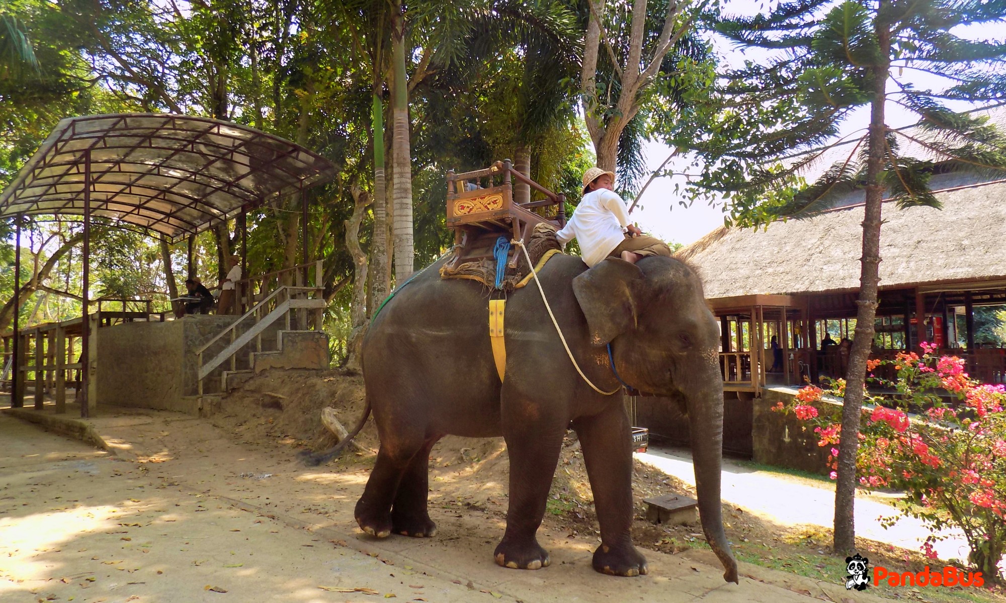 『エレファントキャンプ』到着  象乗りの説明等を受けます。　