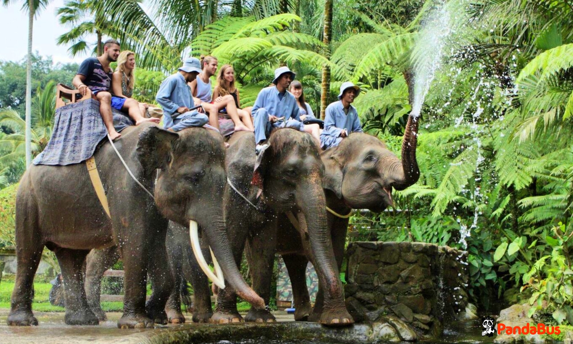 『エレファントキャンプ』出発