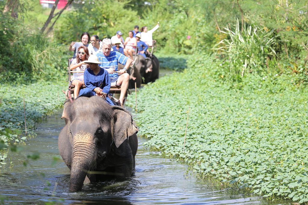 各種アクティビティをお楽しみください。
