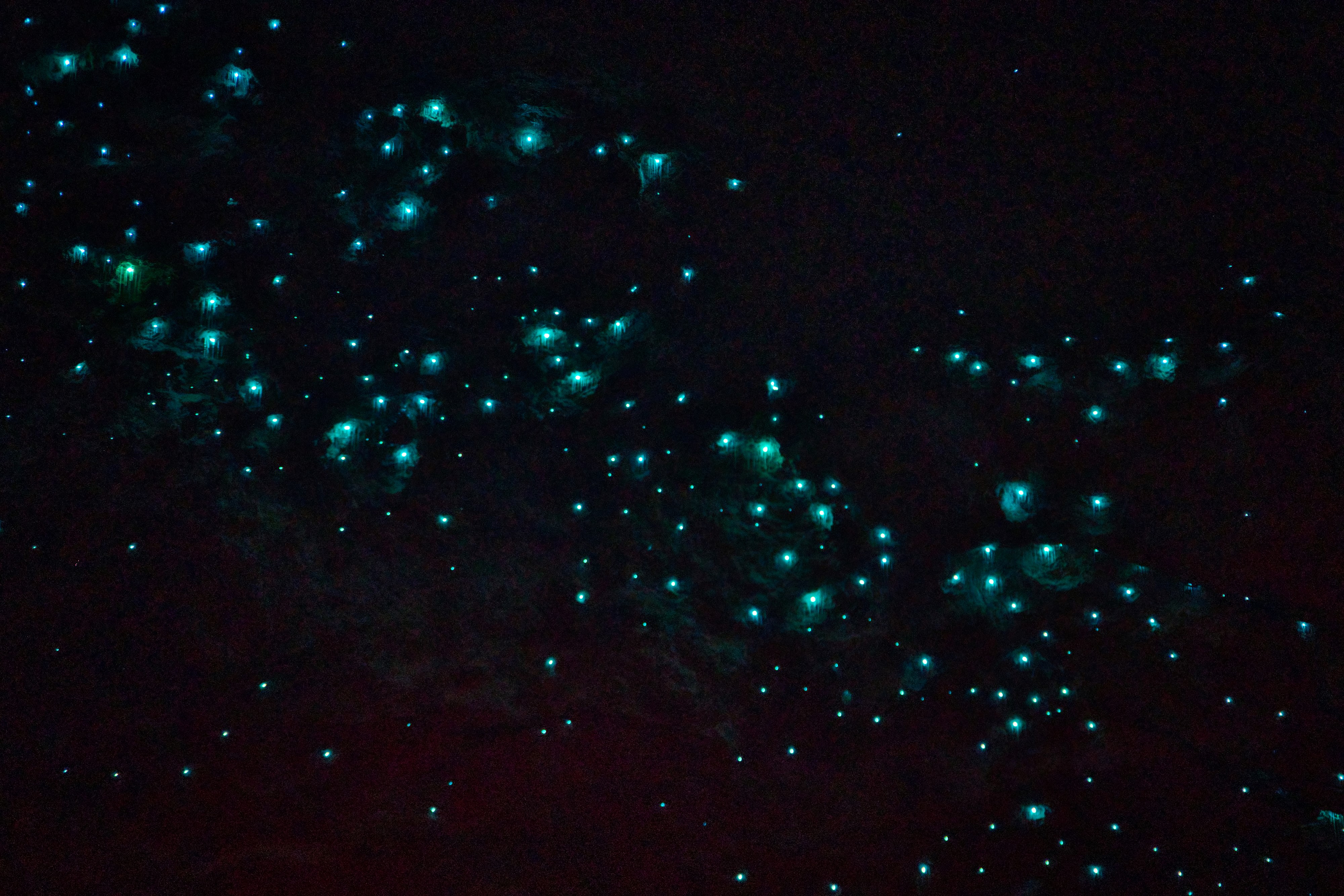 スプリングブルック国立公園へ到着