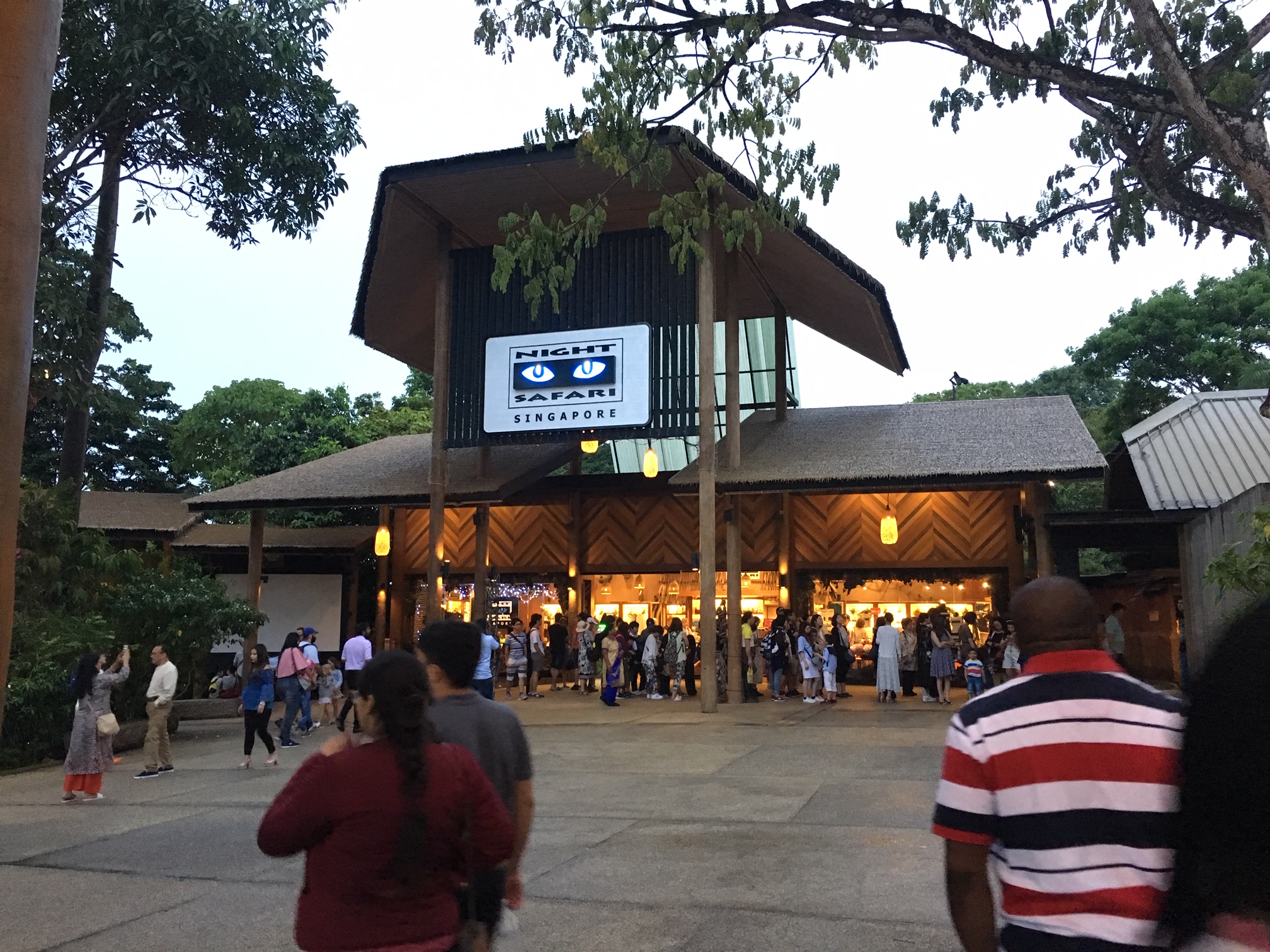 ナイトサファリ ご到着