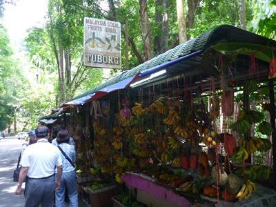 南国フルーツ試食、バリプラウの田舎風景、ローカル市場