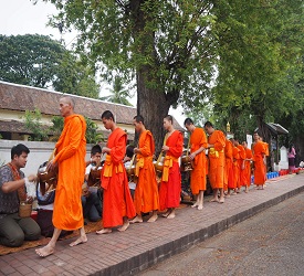 名物の托鉢見学。朝市見学後、ホテルへ