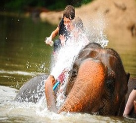 ハッピーエレファントファームの英語スタッフがご宿泊ホテルにお迎え