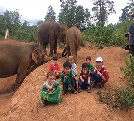 途中、マーケットに立ち寄り小休憩。こちらで象さん用のバナナを購入頂いても結構です。