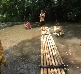 メーワンにあるエレファントファーム到着