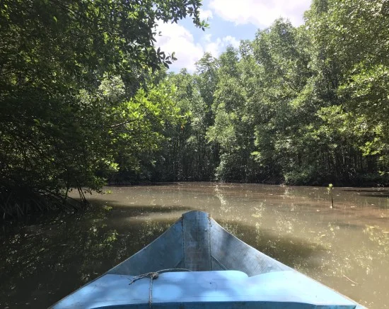 【ホーチミン】カンザー国立公園でマングローブ林クルーズ観光ツアー + ワニ釣り（餌やり）見学