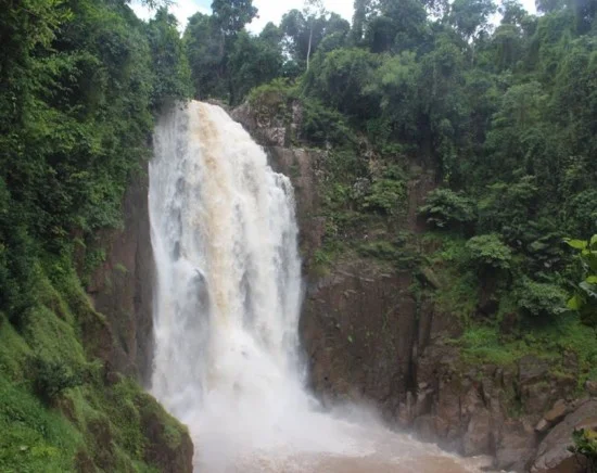 世界自然遺産・カオヤイ国立公園＋象乗りトレッキング 自然満喫