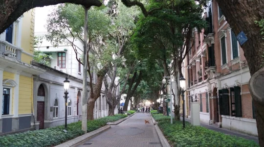 沙面地区 イメ―ジ
