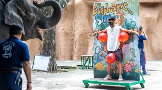 シーラチャタイガーズー