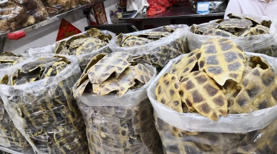 漢方薬問屋街 イメ―ジ