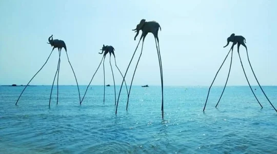 フーコック