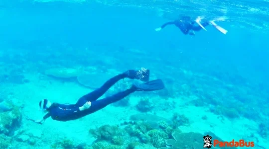 ペニダ島シュノーケリング