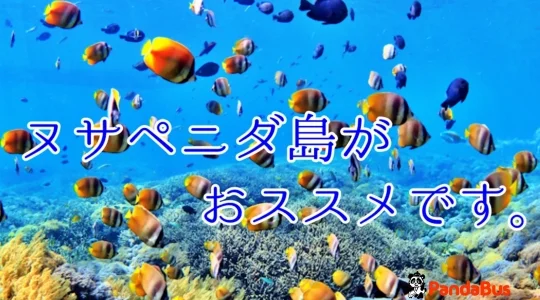 パパス12