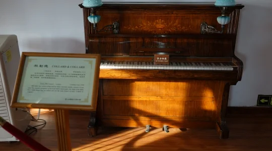 コロンス島 イメージ