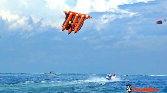 フライフィッシュ