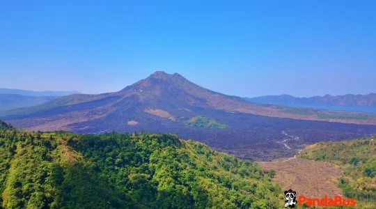 キンタマーニ高原