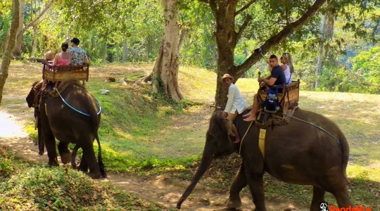 エレファントライド_03