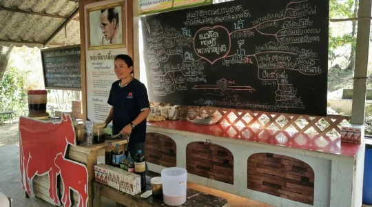 タイ・デンマークファーム